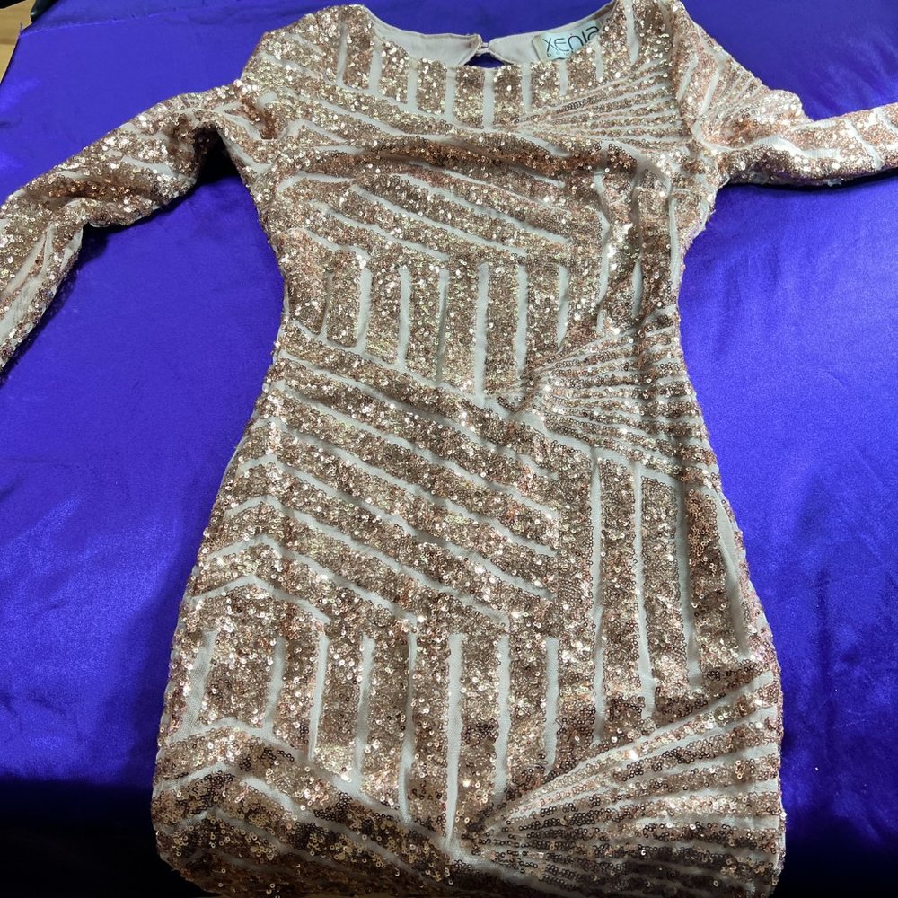 📌Xenia Boutique Rose Gold Mini Sequin Bodycon Formal - Ball - Prom Dress - Picture 14 of 16